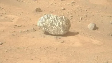 5180546.jpg