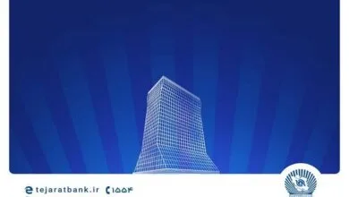 5590960.jpg