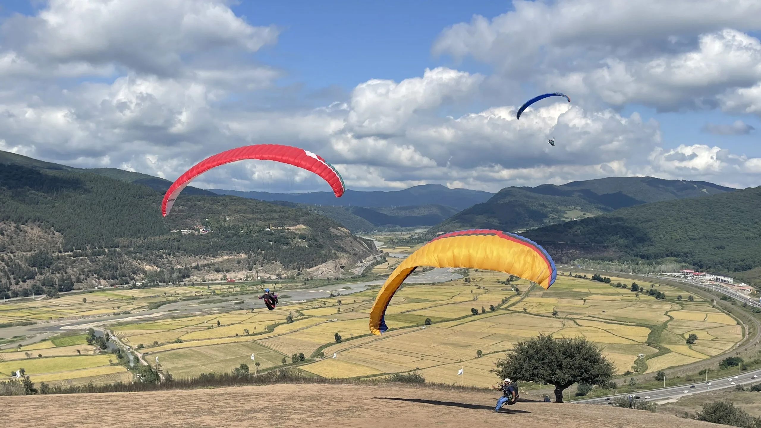 3824ef6a-f9a7-4d5e-8d51-da45acb8ea53