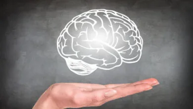 باشگاه خبرنگاران همسو نیوز