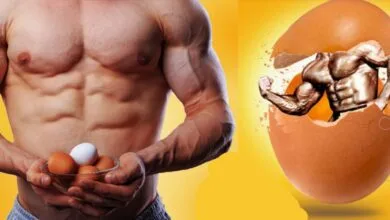 تخممرغ و اختلالات هورمونی ورزشکاران: بررسی مضرات محصولات حیوانی تخممرغ و اختلالات هورمونی ورزشکاران: بررسی مضرات محصولات حیوانی