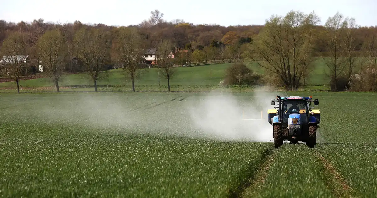 آیا استفاده بیش از حد از کودهای کلاته مضر است؟