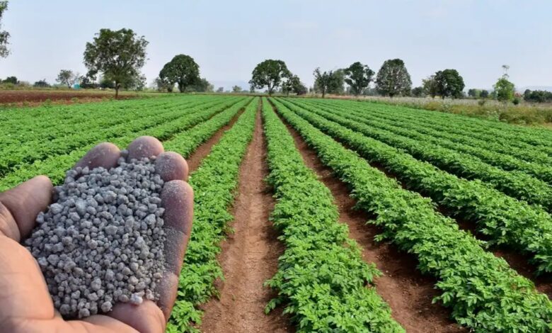 چرا استفاده از کودهای کلاته بازدهی مزارع را چند برابر می کند؟