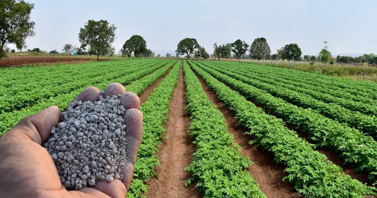 مزایای اصلی استفاده از کودهای کلاته در کشاورزی