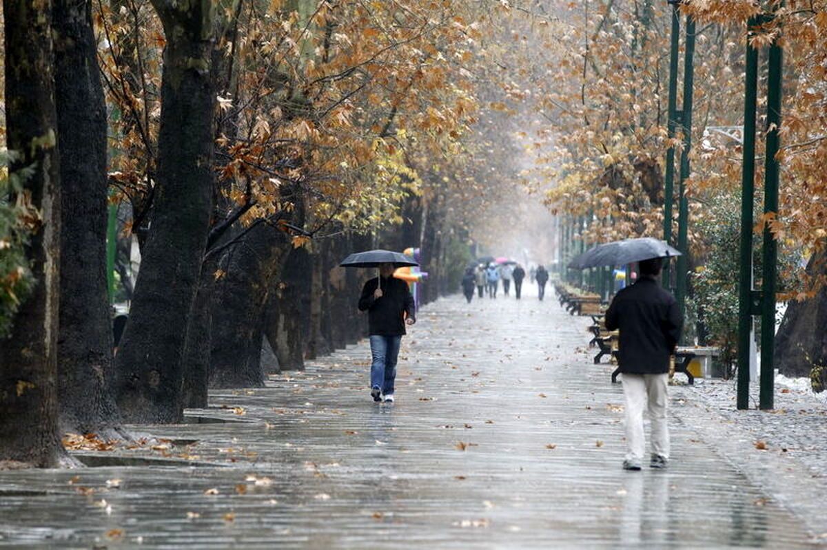 چتر - روزهای بارانی