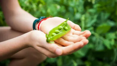 باشگاه خبرنگاران همسو نیوز